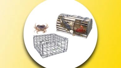 How Do Crab Traps Work